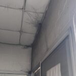 Everton Club de Coronel Moldes volvió a sufrir un hecho de vandalismo en sus instalaciones