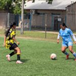 El femenino con acción repartida entre viernes, domingo y martes