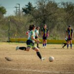ACEFIC y una primera temporada de crecimiento